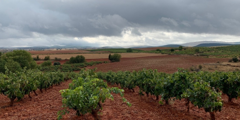 vendimia bodega resalte
